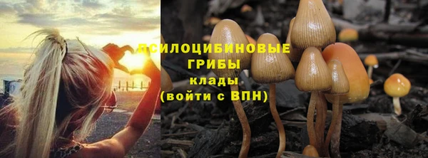 СК Сосновоборск