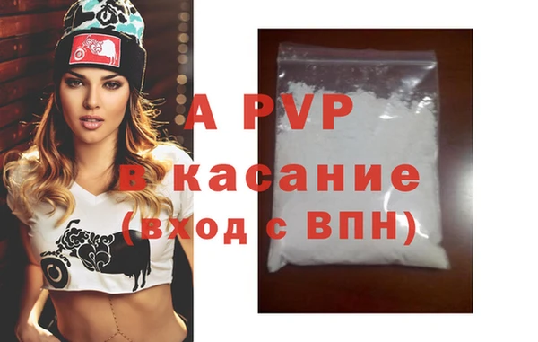 амф Верея