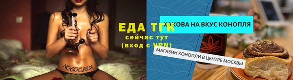 амф Верея