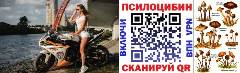 Галлюциногенные грибы прущие грибы  ОМГ ОМГ tor  Медногорск  купить наркотик 